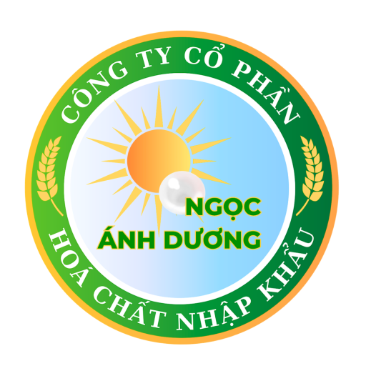 Ngọc Ánh Dương