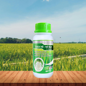 KÍCH RỄ - NỞ BỤI