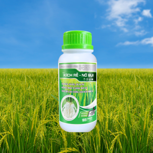 KÍCH RỄ - NỞ BỤI