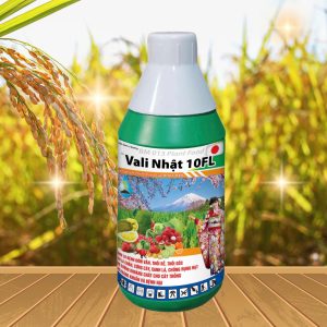 VALI NHẬT