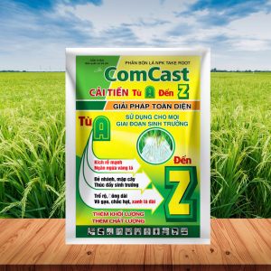 COMCAST AZ