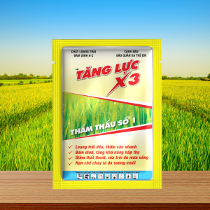 TĂNG LỰC X3